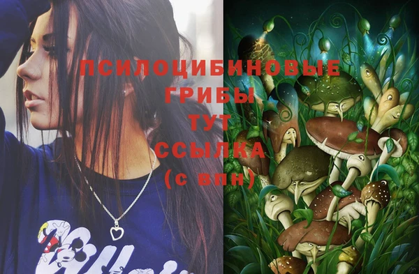 эйфоретик Балахна