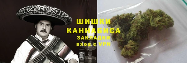 прущие грибы Белоозёрский