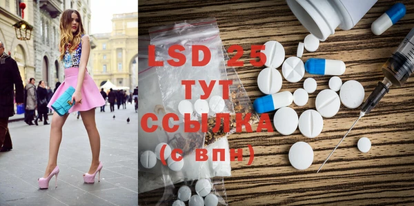 прущие грибы Белоозёрский