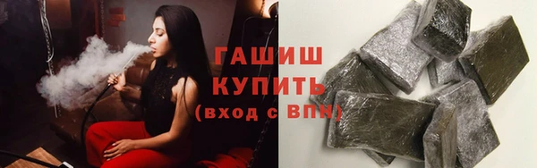 молекула духа Богородицк