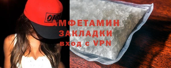 молекула духа Богородицк